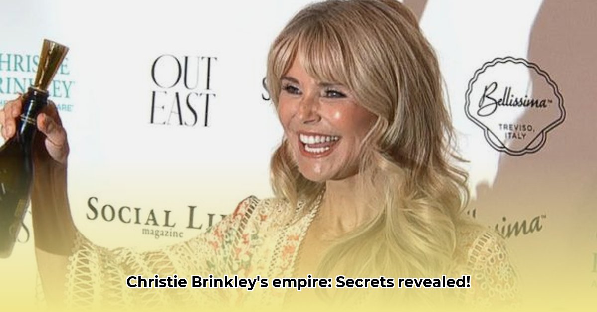 christie-brinkley-business-empire